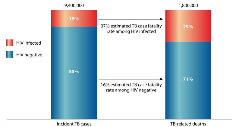 HIV related TB progresses more rapidly HIV- positive patients with smear- negative