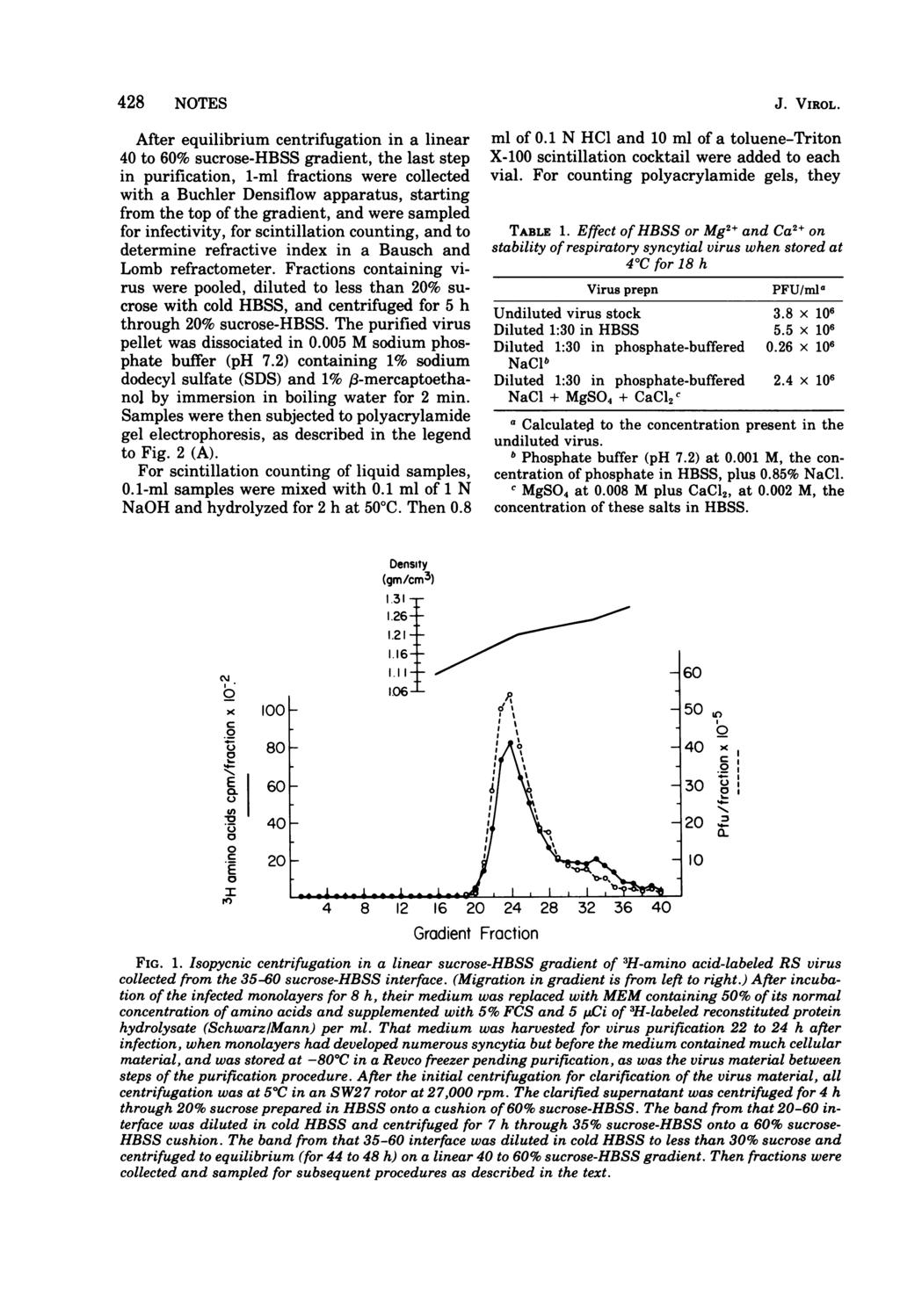428 NOTES After equilibrium centrifugation in a linear 4 to 6% sucrose-hbss gradient, the last step in purification, 1-ml fractions were collected with a Buchler Densiflow apparatus, starting from