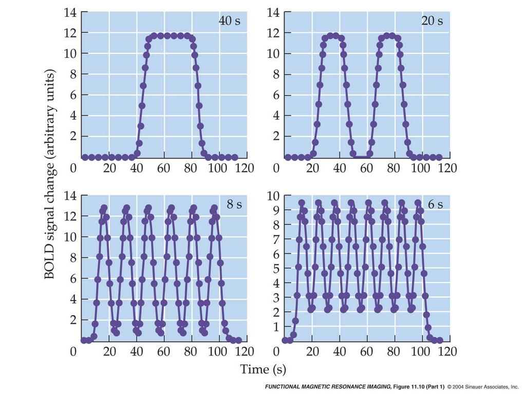 Effects of block interval on the fmri hemodynamic response.