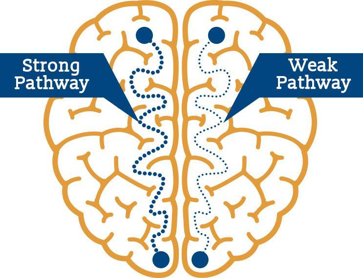 Neural Pathways and Addiction The fact that neural pathways can wire together and be programmed to become habitual and automatic helps to explain addiction.