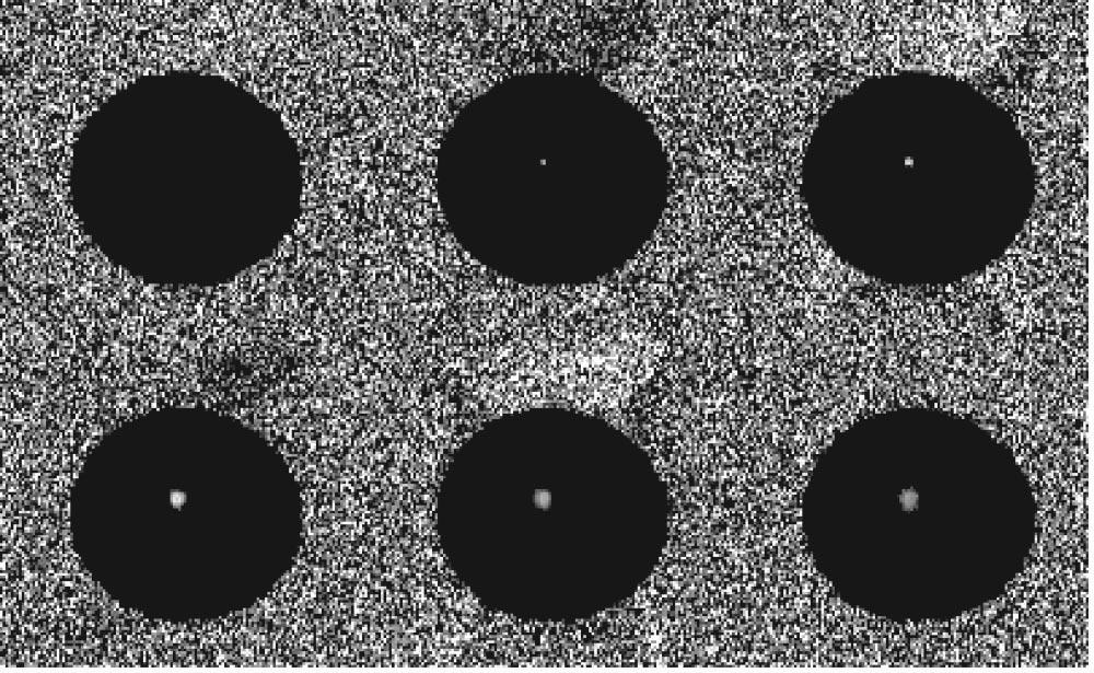 165 T. Wu and J. P. Felmlee: A quality control program for MR-guided... 165 FIG. 4. Phase difference images of a phantom during FUS sonication.