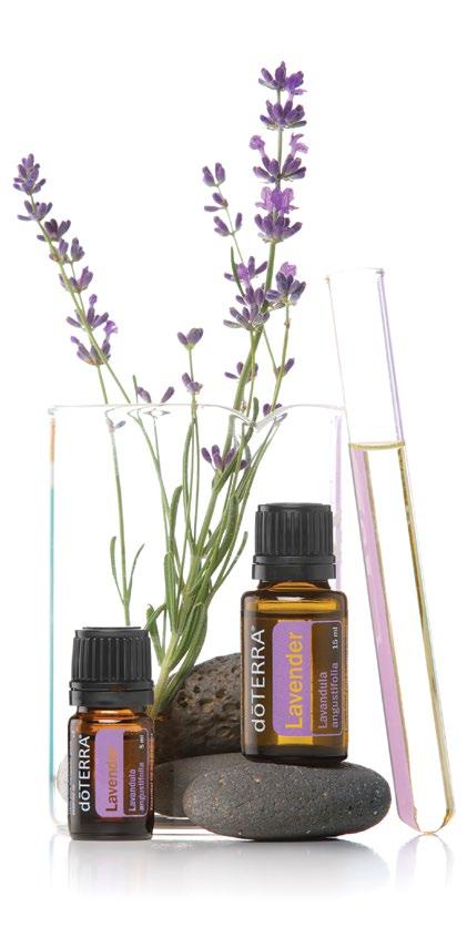 Essential oils have positively impacted the lives of thousands of people in many ways.
