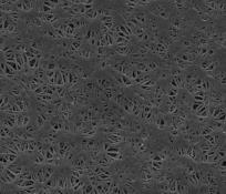 nanoporous PTFE membrane as a function of the thin films with high effective