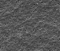 (B) Average crystallite size of the Ag thin films deposited on the nanoporous
