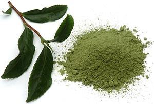 78 meta-analyses, 11 randomized controlled trials, 29 Green tea (Camellia