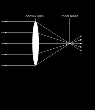 Optics: Convex Lens Convex Lens Causes light to converge Images are magnified D = 1/f D = Diopters f =