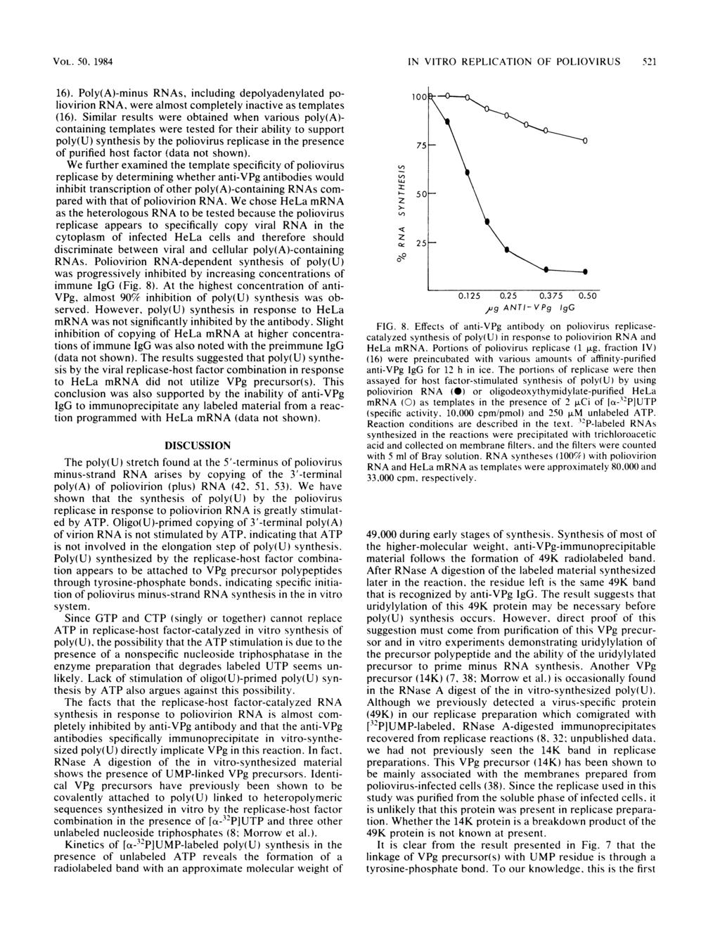 VOL. 5, 1984 16). Poly(A)-minus RNAs, including depolyadenylated poliovirion RNA, were almost completely inactive as templates (16).