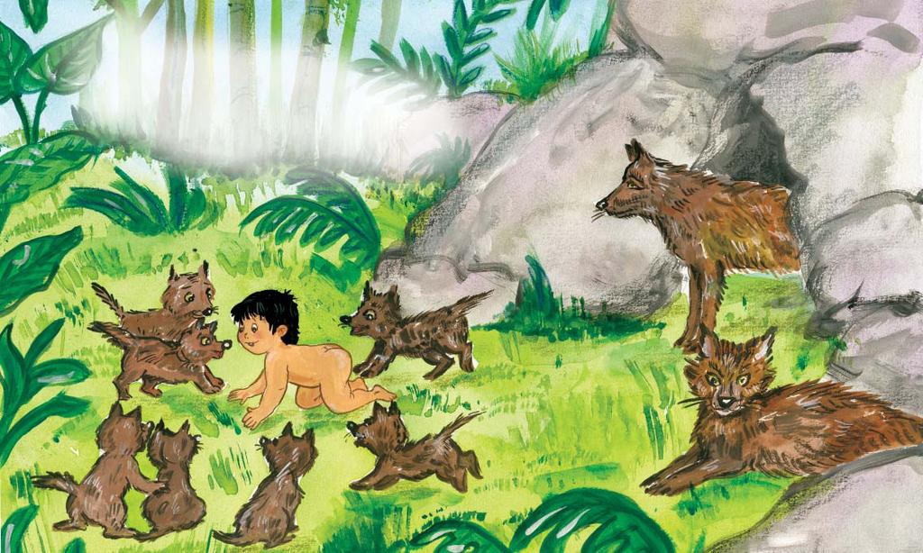The Jungle Book is the story of a boy, Mowgli, who grows up with the Wolf Family in the jungle.