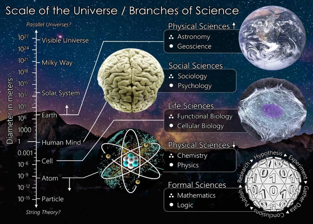 Depending upon the area of study, the branch of science differs. On a broader range, there can be 4 branches of science. 1.