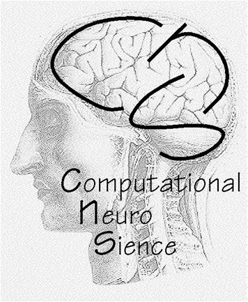 Basics of Computational Neuroscience: Neurons and