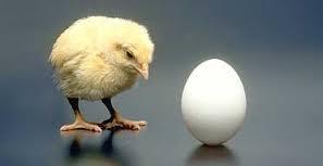 Chicken and Egg causation: interacting