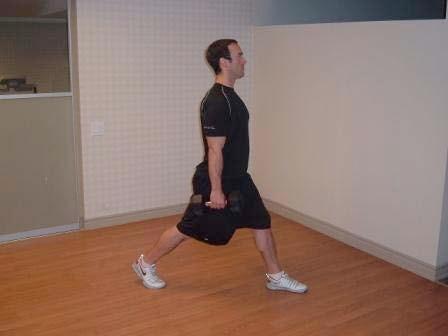 Exercise Descriptions Workout B DB Split Squat Stand with your feet shoulder-width apart and hold a light dumbbell in