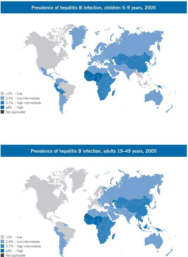 Hepatitis B 240 million people around the world have been infected with HBV.