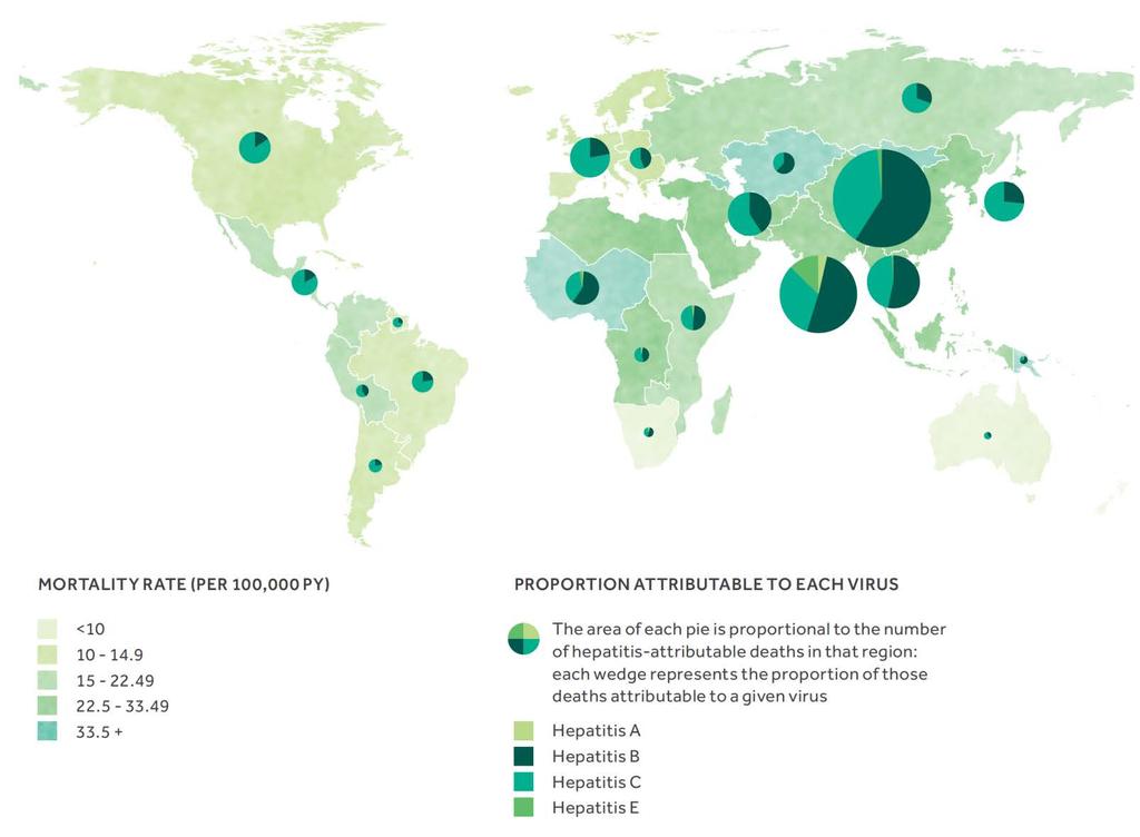 Regional distribution of viral hepatitis deaths 6 WHO