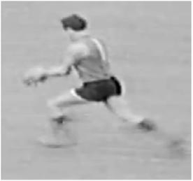GS Heithersay (a) (b) (d) (f) (h) (k) (c) (e) (g) (i) (j) Fig. 3 (a) Peter Darley, a star South Australian footballer, in action against Victoria in 1969.
