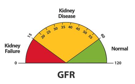 CKD: Tracking My Test Results You are the most important person on your health care team. Know your test results and track them over time to see how your kidneys are doing.