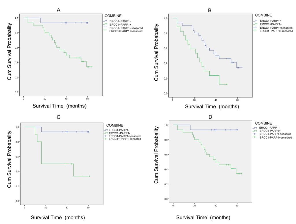 DOI:http://dx.doi.org/10.7314/APJCP.2014.15.6.2591 Prognostic Value of ERCC1 and PARP1 in NSCLC Cases Undergoing Platinum-based Chemotherapy Figure 3.