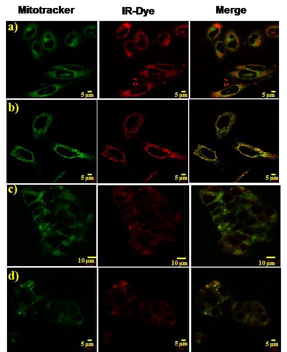 Fig. S17 Confocal images for analyzing mitochondria colocalization, a) IR-780,