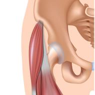 soft tissues Cervical pain Shoulder pain (Calcific tendinitis, collision syndrome) Fast pain