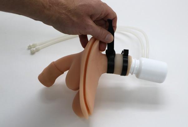 Insert prepared bladder and genitalia into genitalia opening on the simulator.