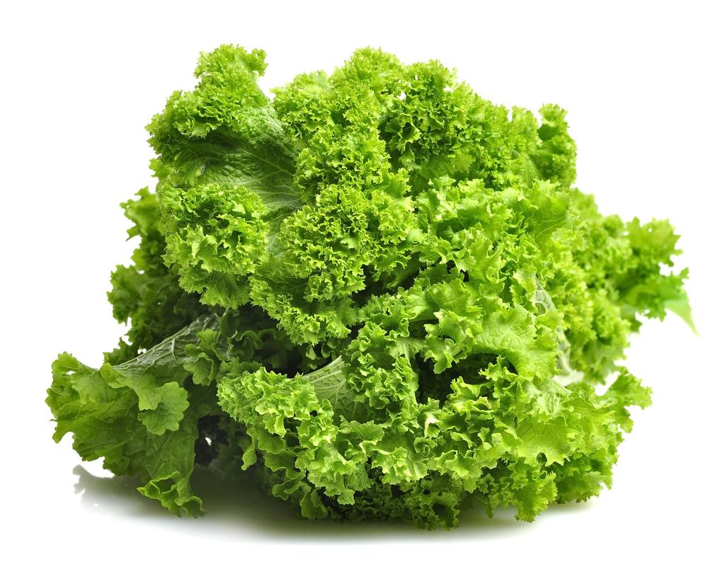 6. Mustard Greens Mustard Greens are one of the most nutritious green leafy vegetables and are packed with health promoting and disease preventing properties.