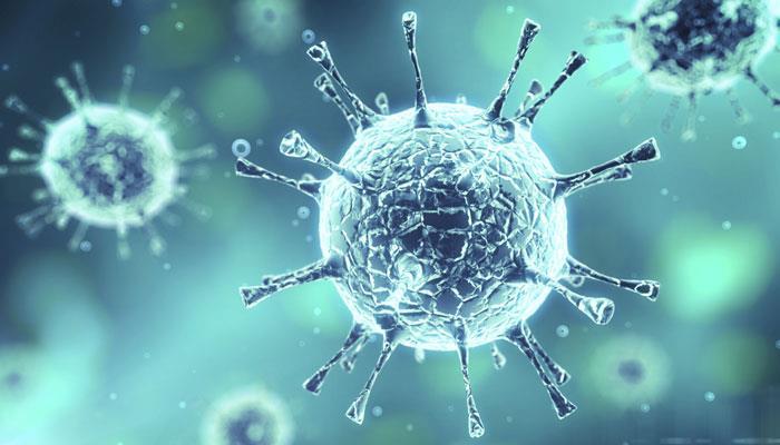 Watch Informative Video 1 KILLS FOUR Virus Bacteria Mold