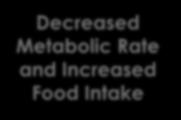 Rate and Increased Food Intake