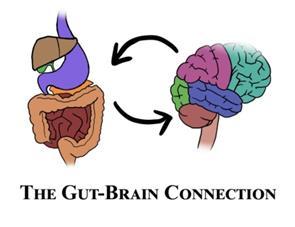 Gut messengers involved in Weight Regulation Clinical Science