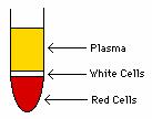constituents If heparinized blood is centrifuged, three layers are obtained: Top layer - yellow liquid