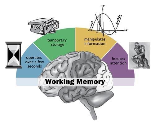 WORKING MEMORY This material is based upon work supported by the National Science Foundation under Grant No. HRD-0726252.