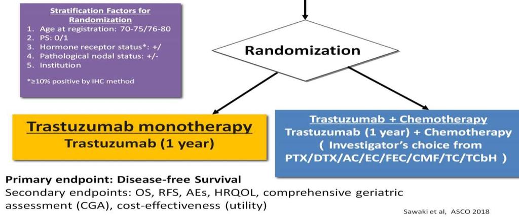 RESPECT trial: trastuzumab +/- chemo in elderly