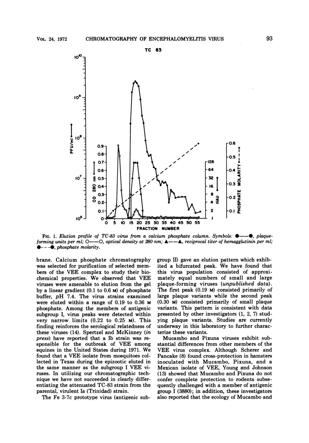 VOL. 24, 1972 1 CHROMATOGRAPHY OF ENCEPHALOMYELITIS VIRUS TC 83 93 9-1 - L. 7 II 4 N cam 16 8 4 I -.6.54 -i -.3 z -.2! -.1IL 2 6o- 5 1 15 2 25 3 35 4 45 5 55 FIG. 1. Elution profile of TC-83 virus from a calcium phosphate column.
