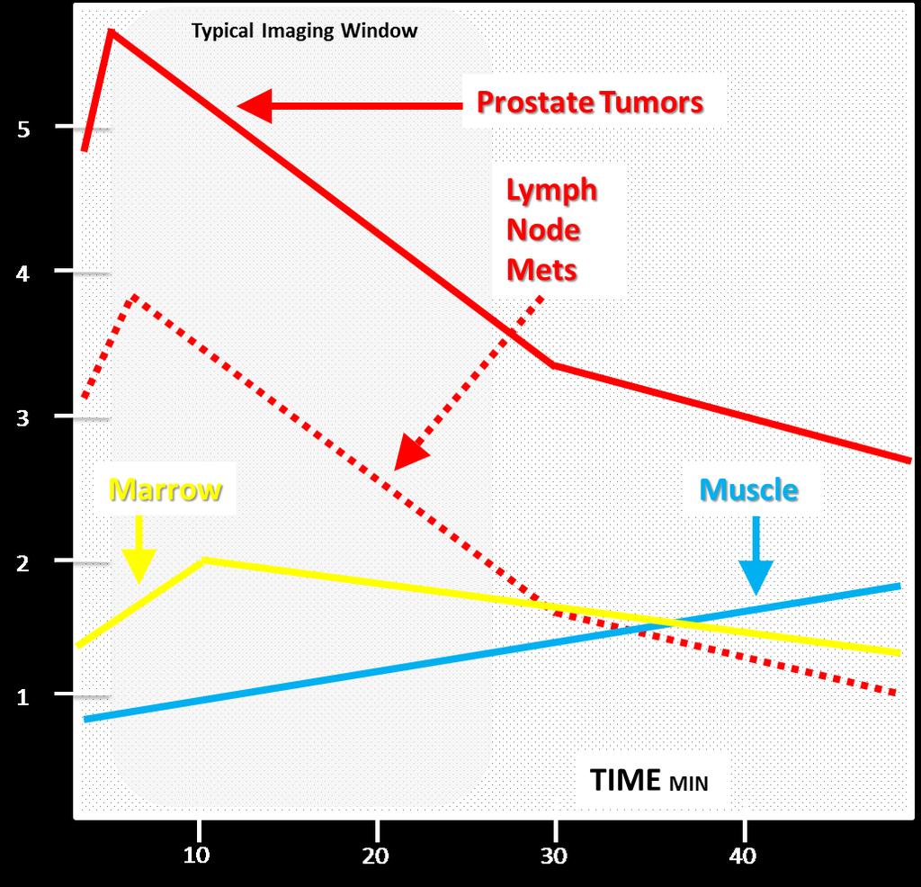 PHARMACOKINETICS à In contrast to FDG: FACBC uptake in prostate cancer & lymph node mets peaks early @ 4-10 min VERSUS FDG peaks @ 90+ min most tumors v 61% uptake of FACBC by prostate cancer lesions