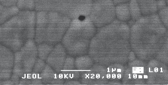 The visible white spots in the competitor samples reveal agglomerates that remain after the sintering process, which decrease translucency and flexural strength.