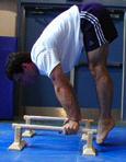 Straight-body Planche (feet together & on a box) 3 5 sets of 15 sec.