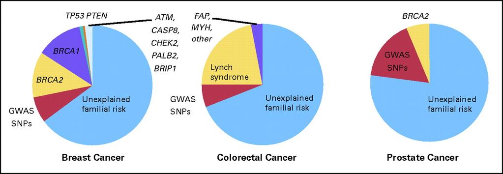 Familial risk of common cancers. Stadler Z K et al.