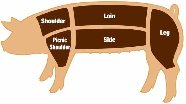 Where Your Pork Comes From Shoulder Steak Shoulder Roast Country-Style Ribs Ground Pork Tenderloin New York Roast