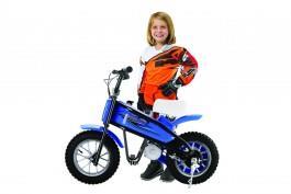 age Motorcycles or minibikes