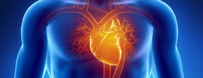 Cardiovascular Health 13 Cardiovascular Disease Cardiovascular Disease (CVD) - any disease involving the heart