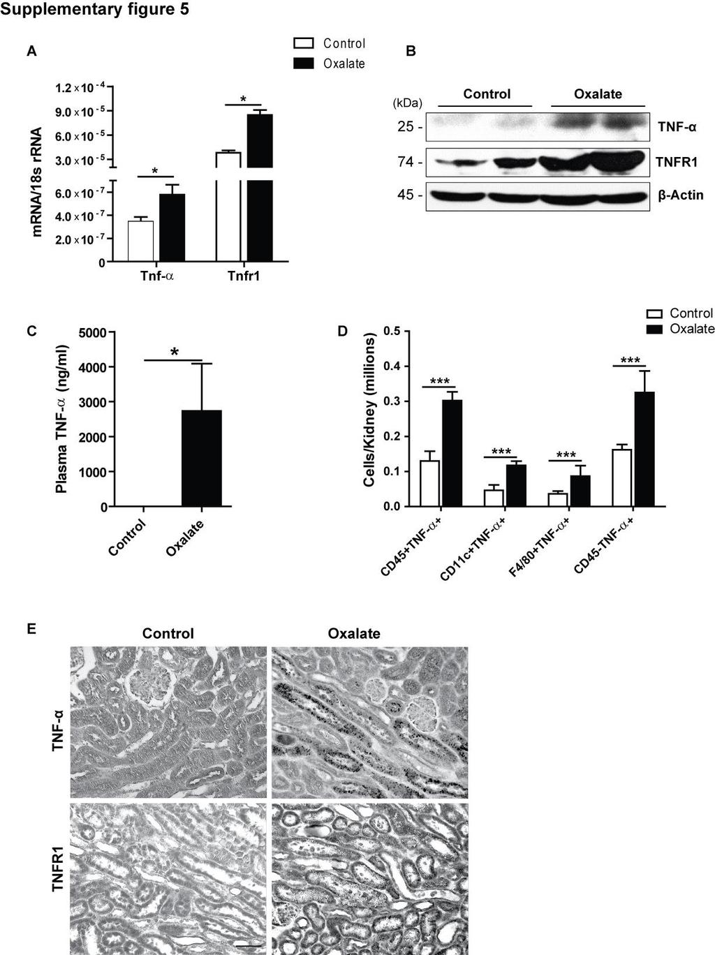 Supplementary fig. 5. Expression of TNF and TNF receptors in murine kidneys during acute oxalate nephropathy.