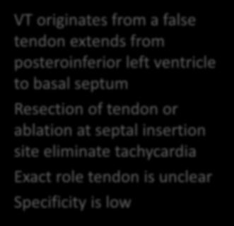 insertion site eliminate tachycardia Exact role tendon is unclear
