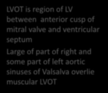and ventricular septum Large