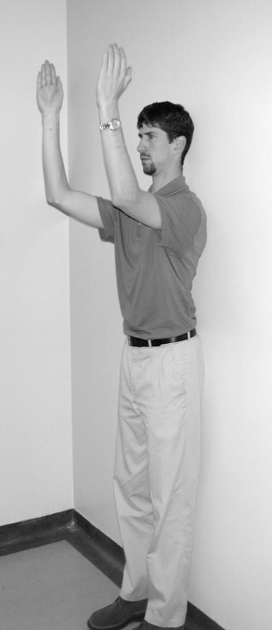 ACTIVE RANGE OF MOTION: These exercises involve moving the arm actively without assistance within painfree