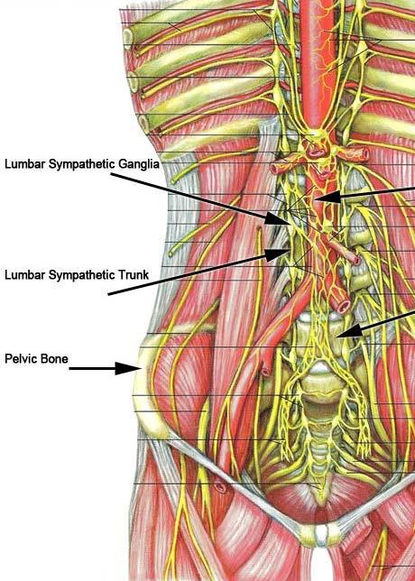 block Lower extremity lumbar