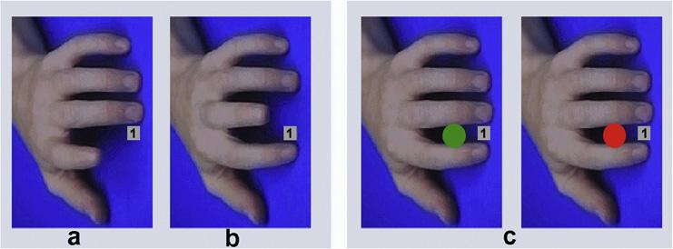 230 I. Santiesteban et al. / Cognition 122 (2012) 228 235 Fig. 1. Panels a and b are examples of the stimuli used for imitation and imitation inhibition training, and for the imitation inhibition task.