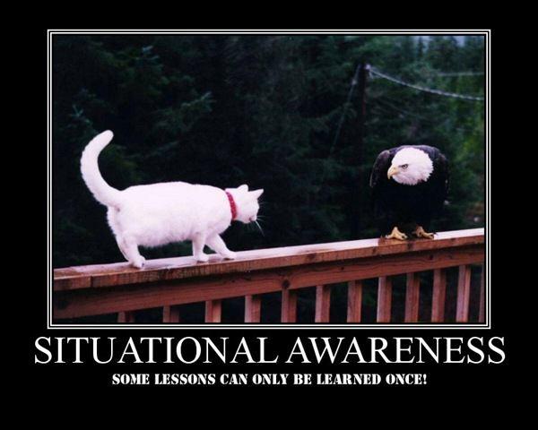 Situational awareness:the ability to "read" situations, understand the social context that