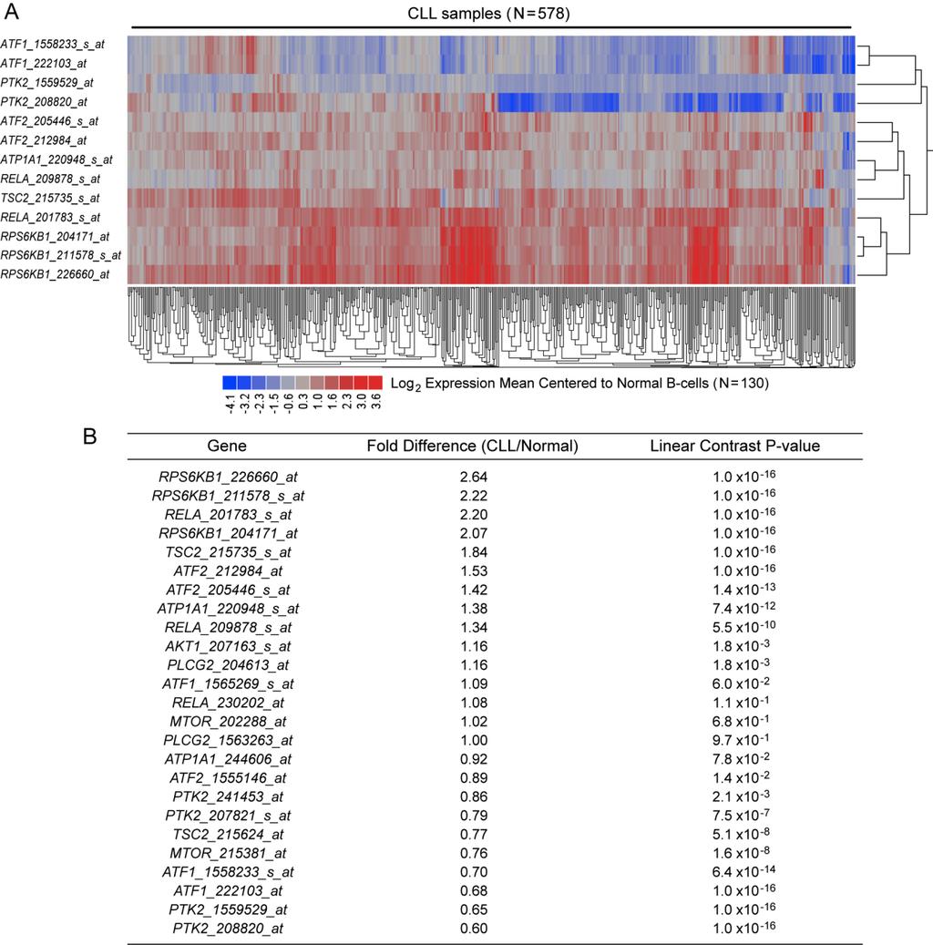 Figure S2. Upregulated Expression of the CD22 E12-Driven Gene Expression Cassette in Human Leukemia Cells from Adult Patients with CLL.