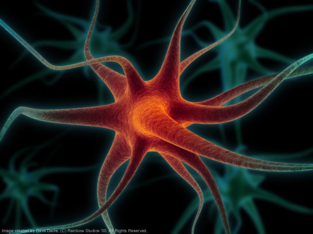 Neurons What is neurone?