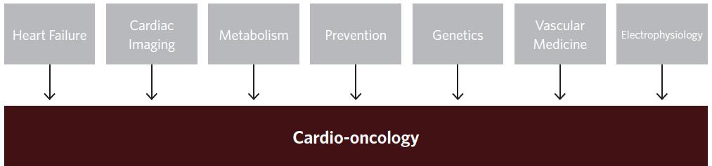 Vanderbilt Cardio-Oncology Program Moslehi. NEJM.