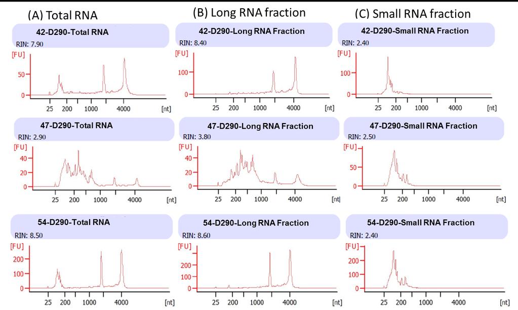 Supplementary figures Figure S1. The quality of RNA isolated from milk fat samples. The RIN (RNA integrity number) values ranged from 2.3 to 8.5.